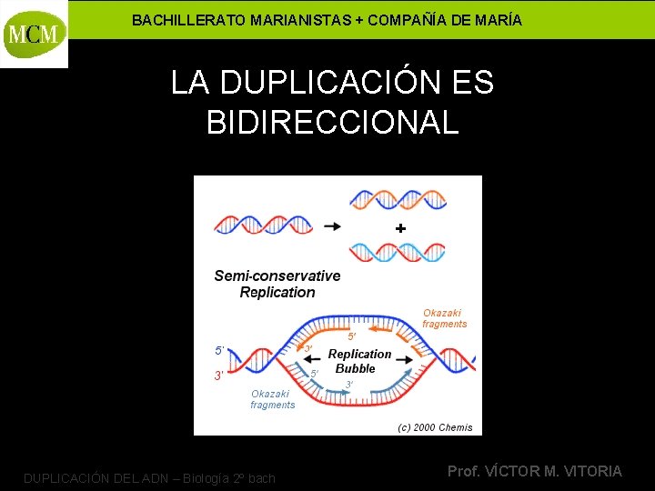 BACHILLERATO MARIANISTAS + COMPAÑÍA DE MARÍA LA DUPLICACIÓN ES BIDIRECCIONAL DUPLICACIÓN DEL ADN –