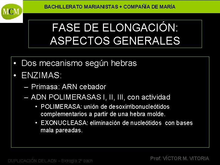 BACHILLERATO MARIANISTAS + COMPAÑÍA DE MARÍA FASE DE ELONGACIÓN: ASPECTOS GENERALES • Dos mecanismo