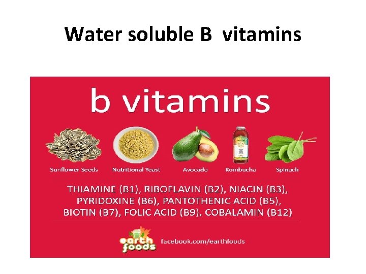 Water soluble B vitamins 