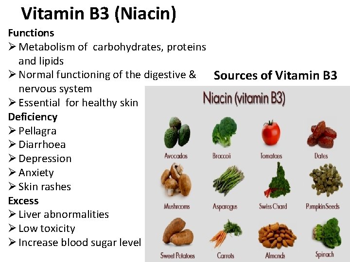 Vitamin B 3 (Niacin) Functions Ø Metabolism of carbohydrates, proteins and lipids Ø Normal