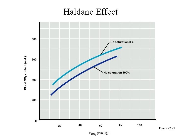 Haldane Effect Figure 22. 23 