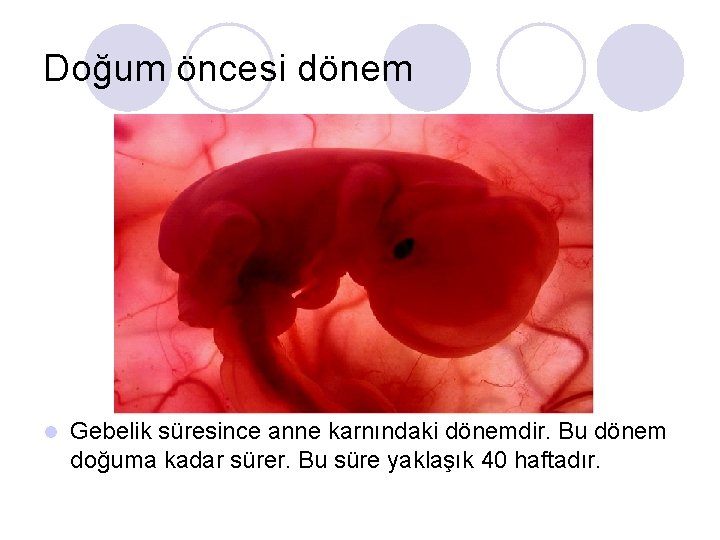 Doğum öncesi dönem l Gebelik süresince anne karnındaki dönemdir. Bu dönem doğuma kadar sürer.