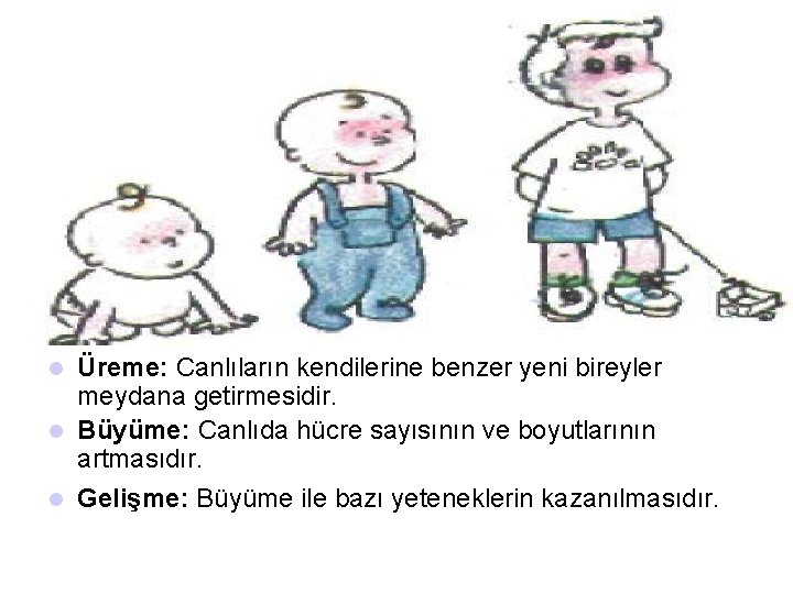 Üreme: Canlıların kendilerine benzer yeni bireyler meydana getirmesidir. l Büyüme: Canlıda hücre sayısının ve