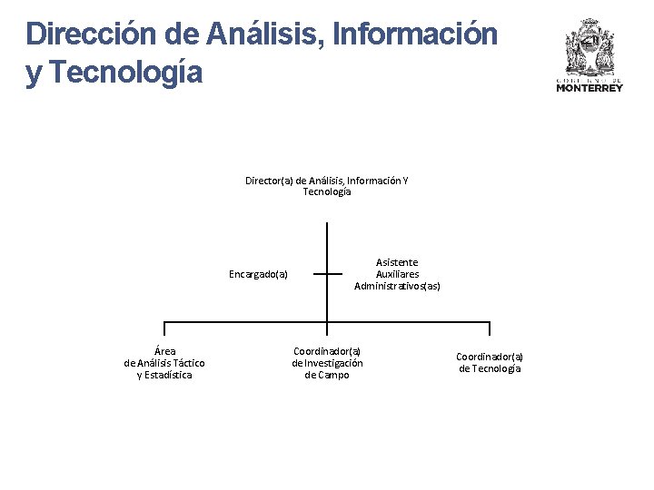 Dirección de Análisis, Información y Tecnología Director(a) de Análisis, Información Y Tecnología Encargado(a) Área