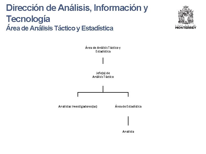 Dirección de Análisis, Información y Tecnología Área de Análisis Táctico y Estadística Jefe(a) de
