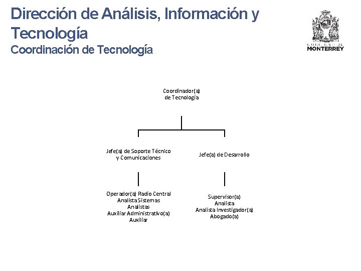 Dirección de Análisis, Información y Tecnología Coordinación de Tecnología Coordinador(a) de Tecnología Jefe(a) de