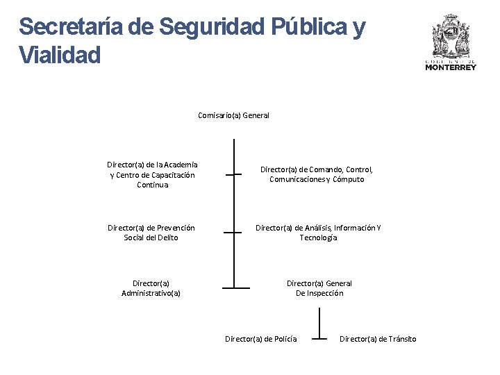 Secretaría de Seguridad Pública y Vialidad Comisario(a) General Director(a) de la Academia y Centro