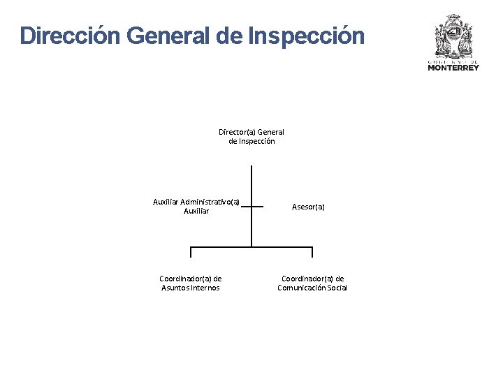 Dirección General de Inspección Director(a) General de Inspección Auxiliar Administrativo(a) Auxiliar Coordinador(a) de Asuntos