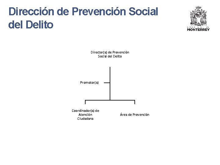 Dirección de Prevención Social del Delito Director(a) de Prevención Social del Delito Promotor(a) Coordinador(a)