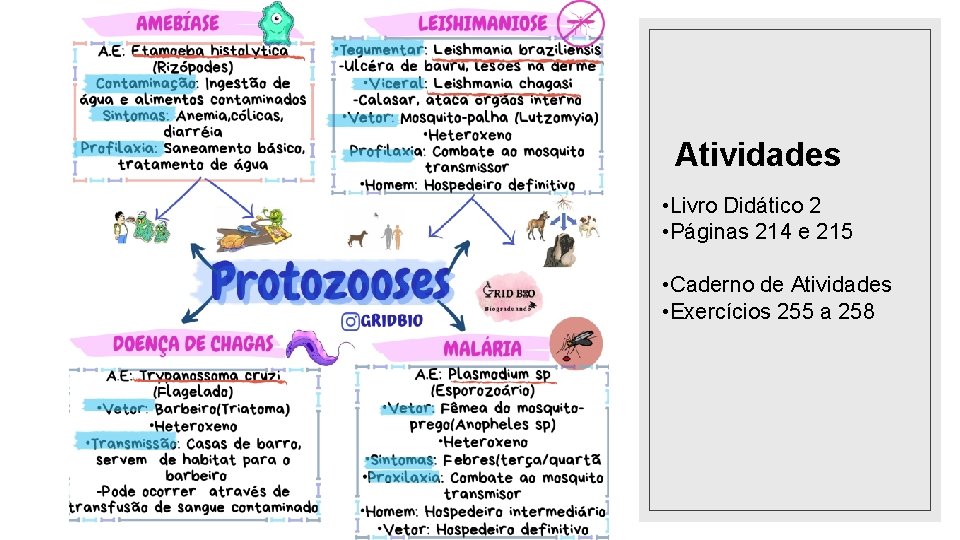 Atividades • Livro Didático 2 • Páginas 214 e 215 • Caderno de Atividades