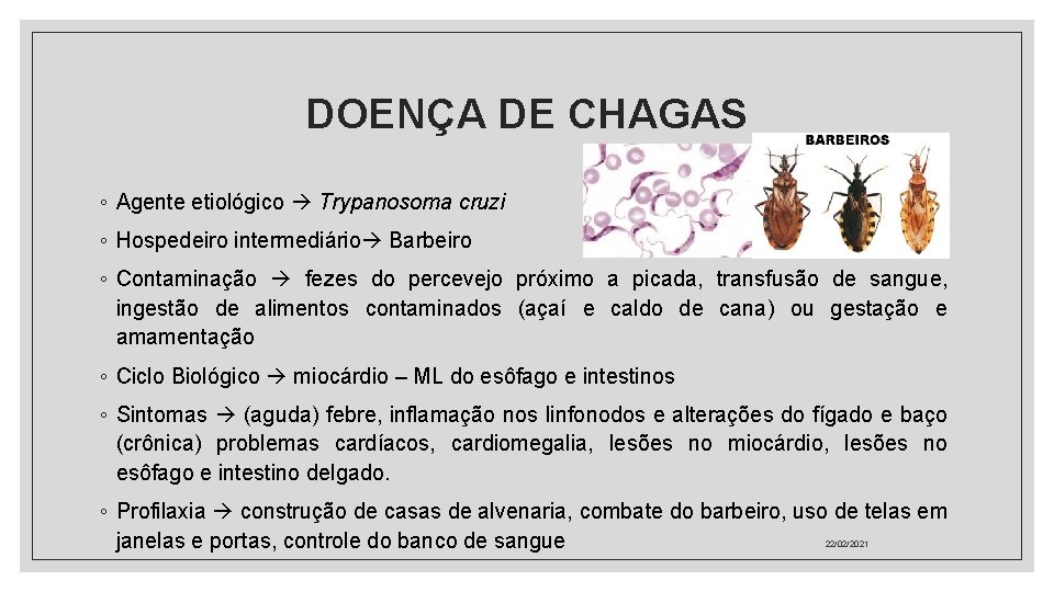 DOENÇA DE CHAGAS ◦ Agente etiológico Trypanosoma cruzi ◦ Hospedeiro intermediário Barbeiro ◦ Contaminação