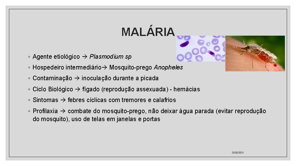 MALÁRIA ◦ Agente etiológico Plasmodium sp ◦ Hospedeiro intermediário Mosquito-prego Anopheles ◦ Contaminação inoculação