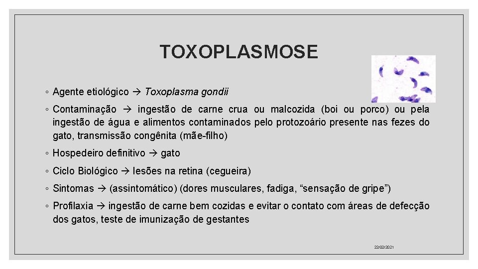 TOXOPLASMOSE ◦ Agente etiológico Toxoplasma gondii ◦ Contaminação ingestão de carne crua ou malcozida