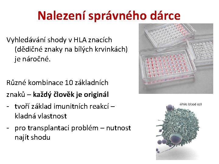 Nalezení správného dárce Vyhledávání shody v HLA znacích (dědičné znaky na bílých krvinkách) je