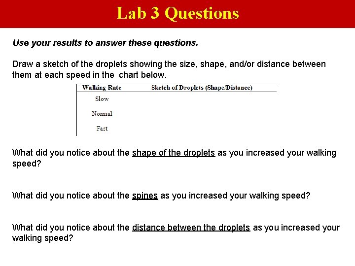 Lab 3 Questions Use your results to answer these questions. Draw a sketch of