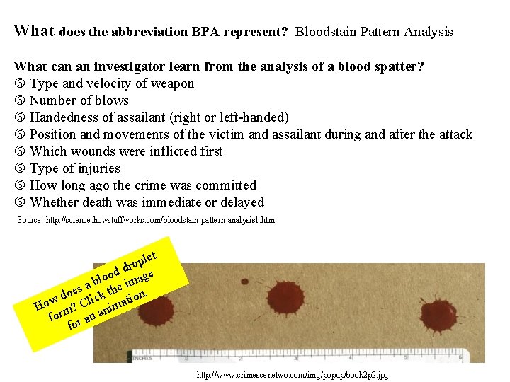 What does the abbreviation BPA represent? Bloodstain Pattern Analysis What can an investigator learn