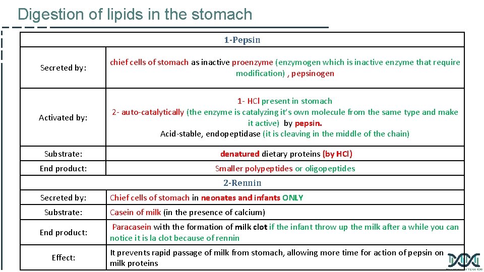 Digestion of lipids in the stomach 1 -Pepsin Secreted by: chief cells of stomach