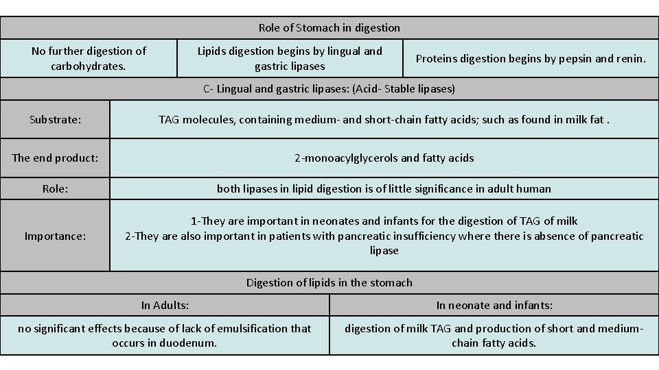 Role of Stomach in digestion No further digestion of carbohydrates. Lipids digestion begins by