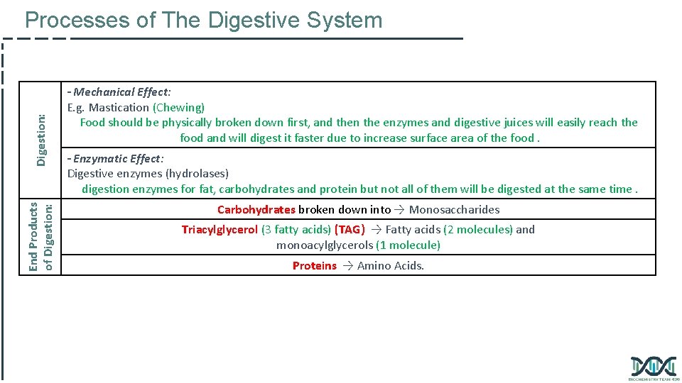 End Products of Digestion: Processes of The Digestive System - Mechanical Effect: E. g.