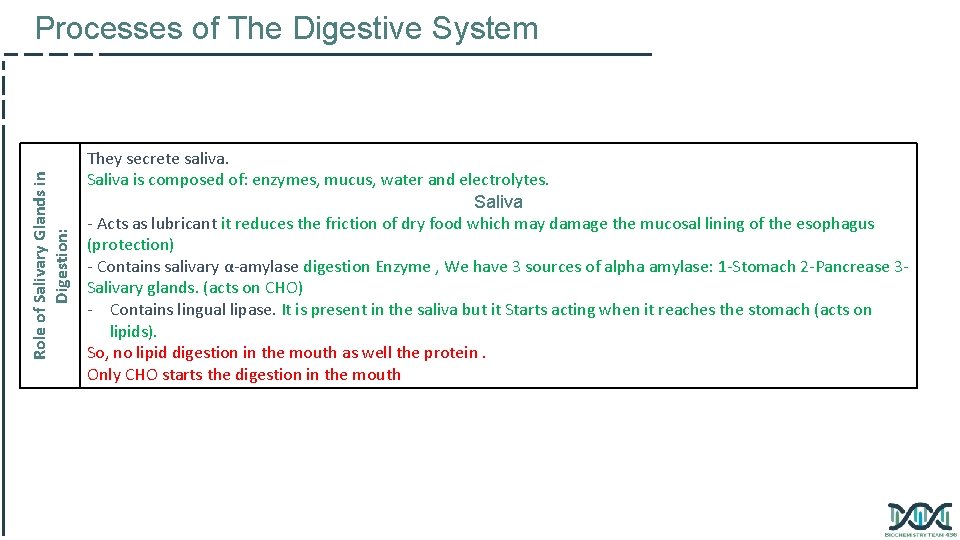 Role of Salivary Glands in Digestion: Processes of The Digestive System They secrete saliva.