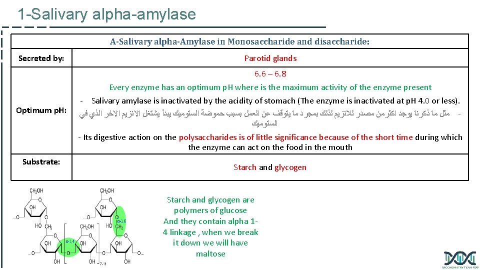 1 -Salivary alpha-amylase A-Salivary alpha-Amylase in Monosaccharide and disaccharide: Secreted by: Parotid glands 6.