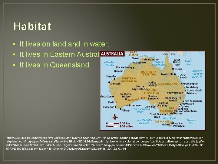 Habitat • It lives on land in water. • It lives in Eastern Australia.