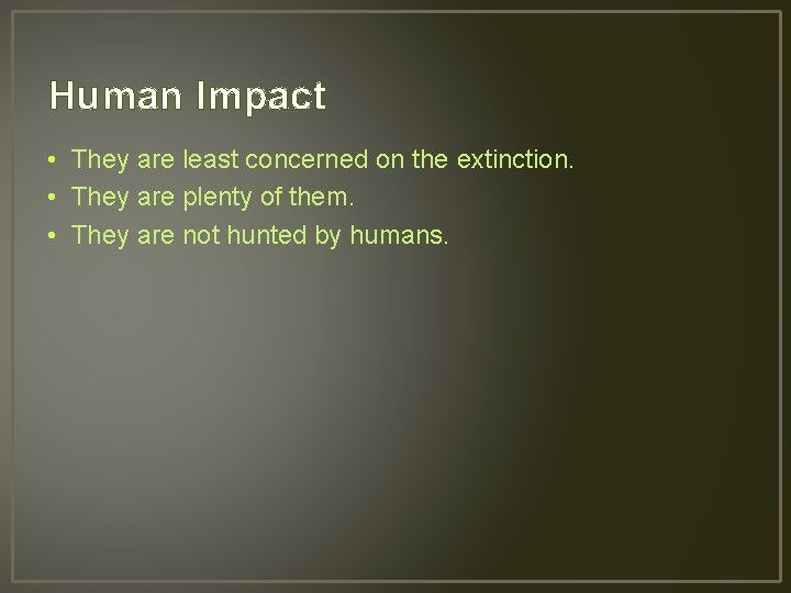 Human Impact • They are least concerned on the extinction. • They are plenty