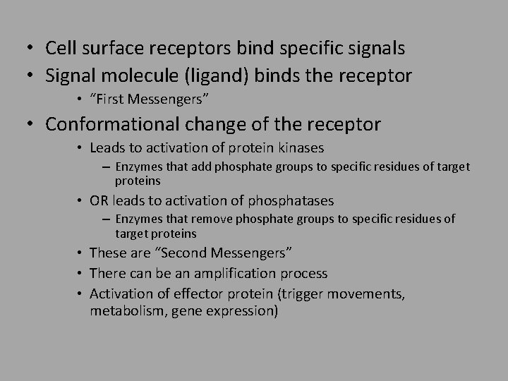  • Cell surface receptors bind specific signals • Signal molecule (ligand) binds the