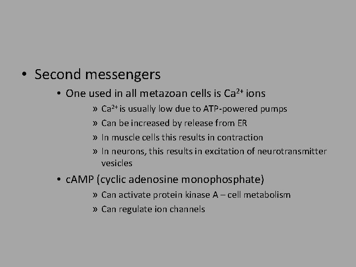  • Second messengers • One used in all metazoan cells is Ca 2+