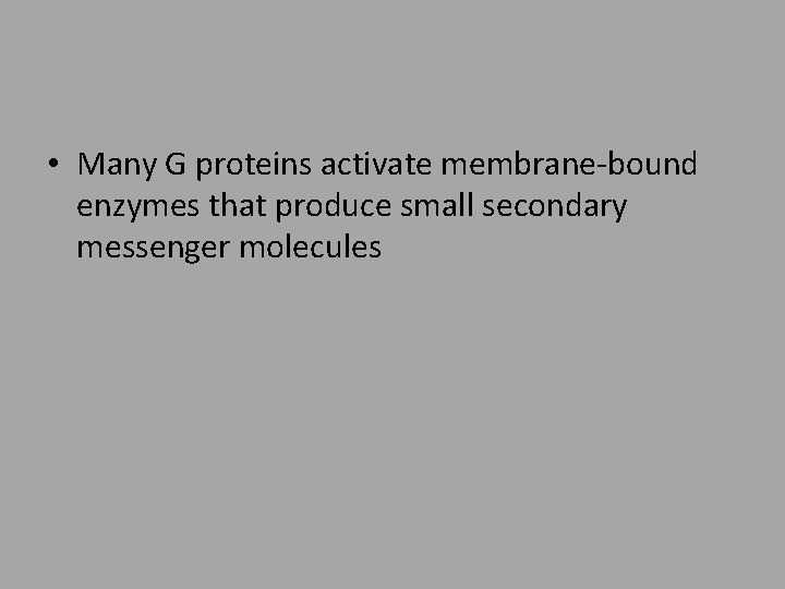  • Many G proteins activate membrane-bound enzymes that produce small secondary messenger molecules