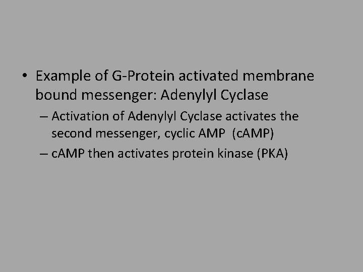  • Example of G-Protein activated membrane bound messenger: Adenylyl Cyclase – Activation of