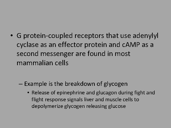  • G protein-coupled receptors that use adenylyl cyclase as an effector protein and