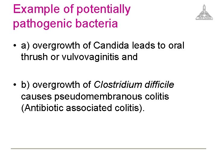 Example of potentially pathogenic bacteria • a) overgrowth of Candida leads to oral thrush