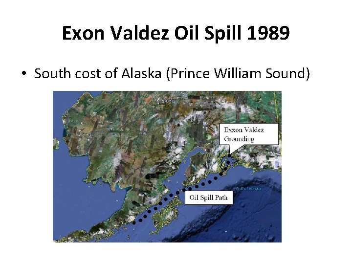 Exon Valdez Oil Spill 1989 • South cost of Alaska (Prince William Sound) 