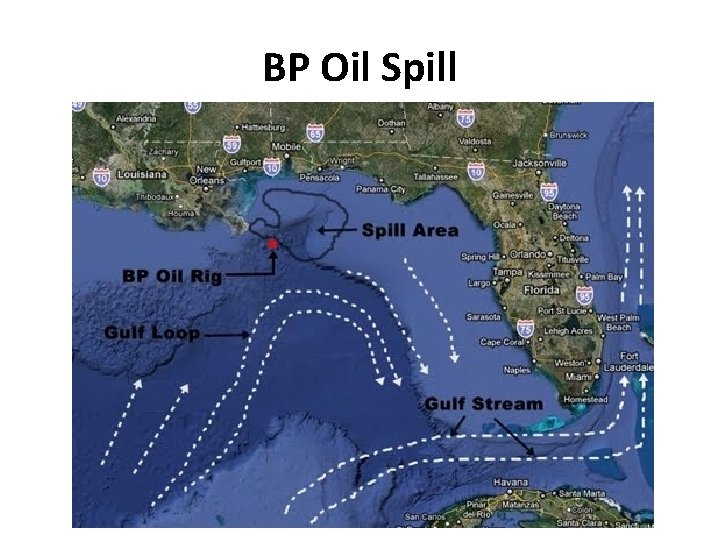 BP Oil Spill 