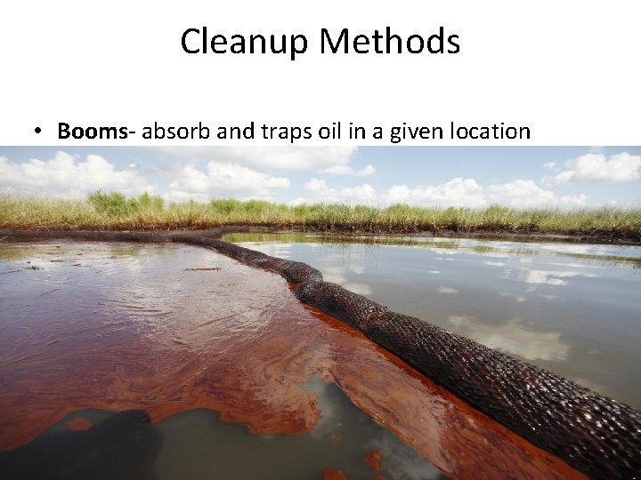 Cleanup Methods • Booms- absorb and traps oil in a given location 