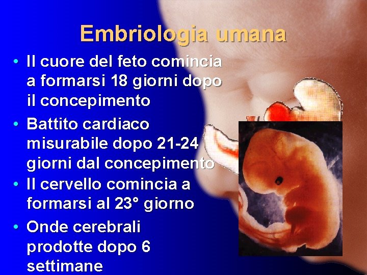 Embriologia umana • Il cuore del feto comincia a formarsi 18 giorni dopo il