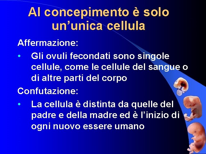 Al concepimento è solo un’unica cellula Affermazione: • Gli ovuli fecondati sono singole cellule,