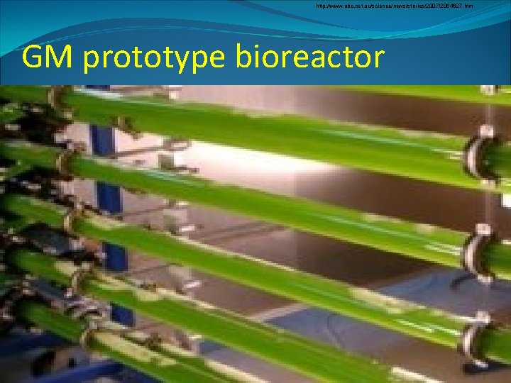 http: //www. abc. net. au/science/news/stories/2007/2064607. htm GM prototype bioreactor 