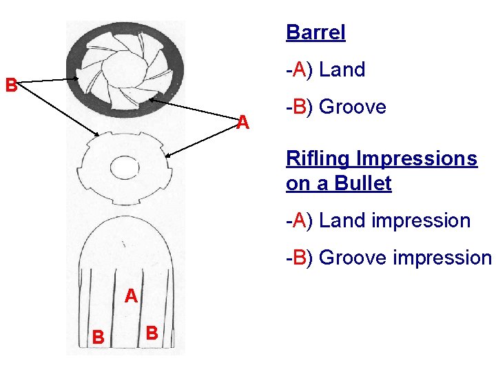 Barrel -A) Land B A -B) Groove Rifling Impressions on a Bullet -A) Land