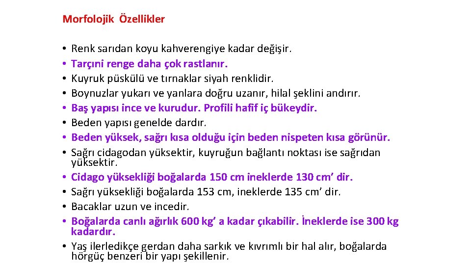 Morfolojik Özellikler • • • • Renk sarıdan koyu kahverengiye kadar değişir. Tarçıni renge