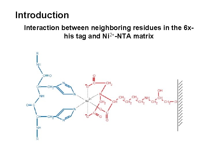 Introduction Interaction between neighboring residues in the 6 xhis tag and Ni 2+-NTA matrix
