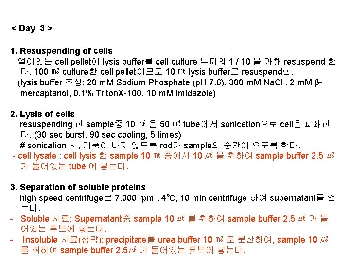 < Day 3 > 1. Resuspending of cells 얼어있는 cell pellet에 lysis buffer를 cell