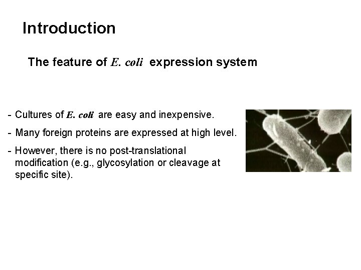 Introduction The feature of E. coli expression system - Cultures of E. coli are
