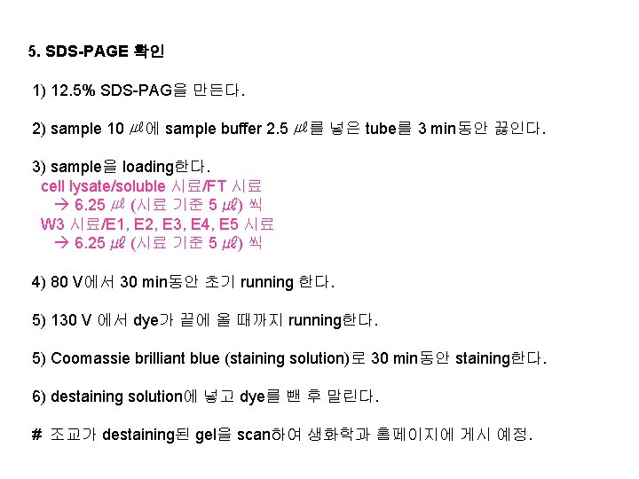  5. SDS-PAGE 확인 1) 12. 5% SDS-PAG을 만든다. 2) sample 10 ㎕에 sample