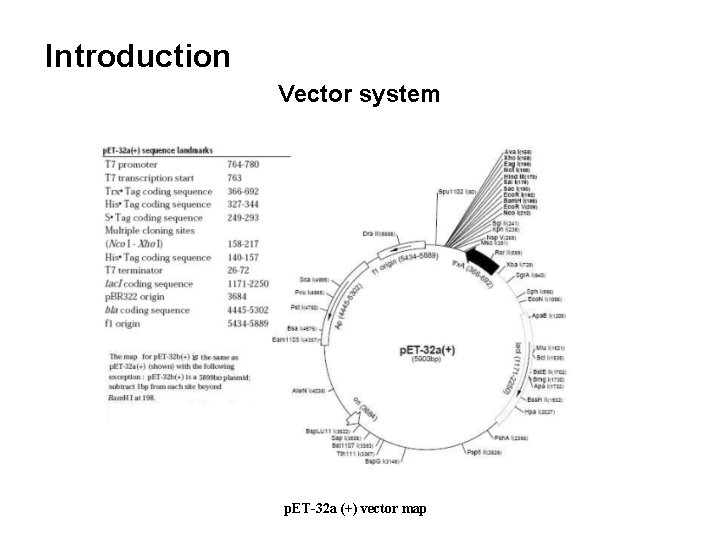 Introduction Vector system p. ET-32 a (+) vector map 
