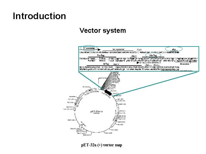 Introduction Vector system p. ET-32 a (+) vector map 