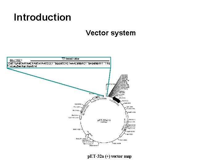 Introduction Vector system p. ET-32 a (+) vector map 