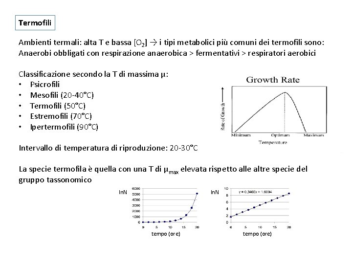 Termofili Ambienti termali: alta T e bassa [O 2] → i tipi metabolici più