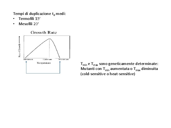 Tempi di duplicazione td medi: • Termofili 15’ • Mesofili 20’ Tmin e Tmax